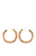 Kayla Hoops
